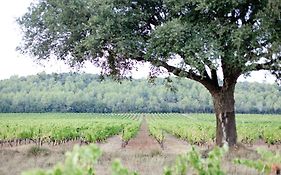 Domaine De Sigalous